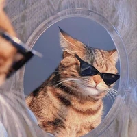 Tác giả Yan cutii đê=))