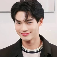 Win Metawin