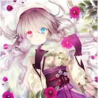 Akiko/A45