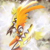 Kapu - Kokeko