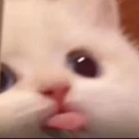 Tác giả🌷