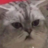 cái lớp bất ổn