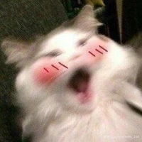☆Hủ bất diệt