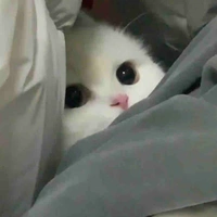 Quỳnh khum bít bơi:<<