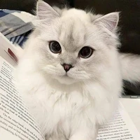 tác giả thùy mị nết na😘