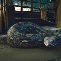 Nagini