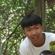 Phạm Đình Hoà