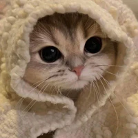 My name is Lijm :))