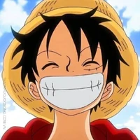 luffy (nvp)