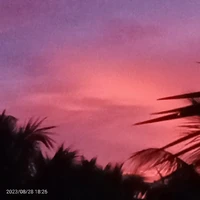 cả hai