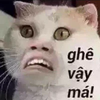 nhỏ tg