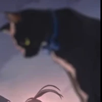 Elio