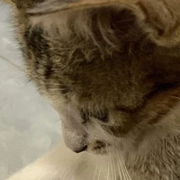 sự lựa chọn quả bạn