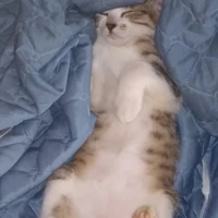 kết quả sự lựa chọn của bạn