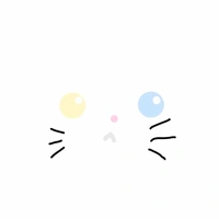 Mèo ioh