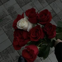 Dương Ngọc Tường Vy