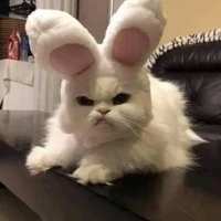 tác giả