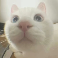 Hấu Hấu Hư Hỏng 🍉