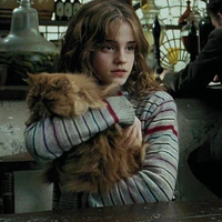 Hermione Jean Granger