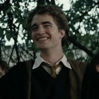 Cedric Diggory_Hufflepuff