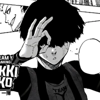niko ikki