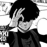 niko ikki