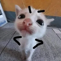 Con bạn dễ ghét