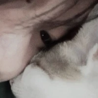 Quỷ Giả Dạng Chuyên Môn Làm Biếng