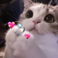 Nhỏ tác giả:3
