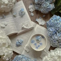 HS home school/ trừ ai thì trừ