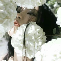 Hoàng Quỳnh Anh/ Hydrangea