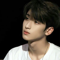 Nghiêm 300 tệ
