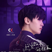 Giản Dương CK_Sunflower