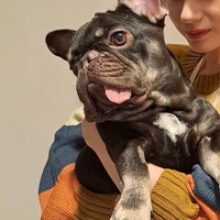 BonBon Armstrong