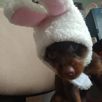 t/g xấu nhất mangatoon:)