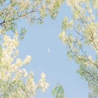 nhân vật quần chúng