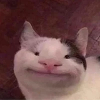 Tác giả nhìu chiện