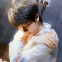Đinh Trình Hâm (trước khi xuyên không)