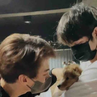 Tui là tác giả nè