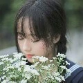 Hoàng Linh Đan trước khi xuyên không