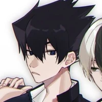Karasu Tabito