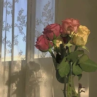 Quýt 🍊(tác giả)