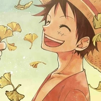 Monkey D Luffy
