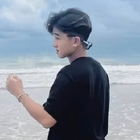 Lê Huỳnh Triệu