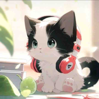 『 Sao Nam 』