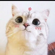 ba anh