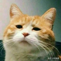Tuyết Gia