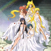 Nhóm Usagi