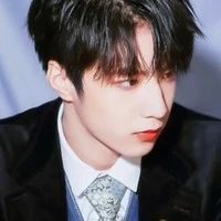 Lưu Diệu Văn(anh)