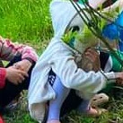 Alpha Sans